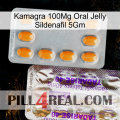 Kamagra 100Mg Oral Jelly Sildenafil 5Gm new12